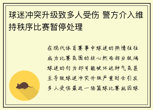 球迷冲突升级致多人受伤 警方介入维持秩序比赛暂停处理