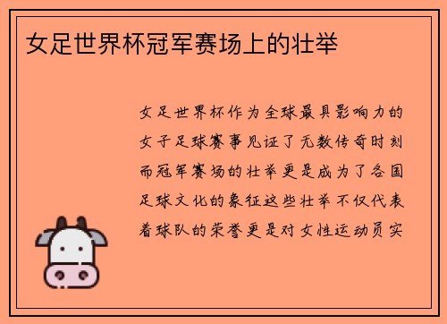 女足世界杯冠军赛场上的壮举