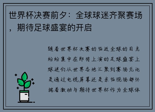 世界杯决赛前夕：全球球迷齐聚赛场，期待足球盛宴的开启