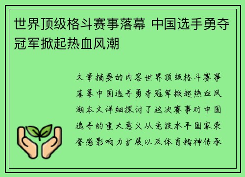 世界顶级格斗赛事落幕 中国选手勇夺冠军掀起热血风潮